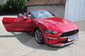 Ford Mustang 5,0 Ti-VCT V8 GT CS Cabrio Aut. Rot - thumbnail 1