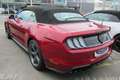 Ford Mustang 5,0 Ti-VCT V8 GT CS Cabrio Aut. Rot - thumbnail 4
