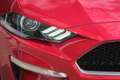 Ford Mustang 5,0 Ti-VCT V8 GT CS Cabrio Aut. Rot - thumbnail 27