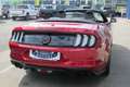 Ford Mustang 5,0 Ti-VCT V8 GT CS Cabrio Aut. Rot - thumbnail 23