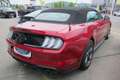 Ford Mustang 5,0 Ti-VCT V8 GT CS Cabrio Aut. Rot - thumbnail 6