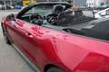 Ford Mustang 5,0 Ti-VCT V8 GT CS Cabrio Aut. Rot - thumbnail 13