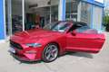 Ford Mustang 5,0 Ti-VCT V8 GT CS Cabrio Aut. Rot - thumbnail 20