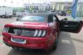 Ford Mustang 5,0 Ti-VCT V8 GT CS Cabrio Aut. Rot - thumbnail 19