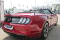 Ford Mustang 5,0 Ti-VCT V8 GT CS Cabrio Aut. Rot - thumbnail 31