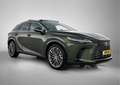 Lexus RX 450h 450h+ Plug-in Hybrid President Line | Panoramisch Grün - thumbnail 16