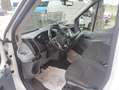 Ford Transit 350 2.0TDCi EcoBlue 170CV PL Cab.Trend Bianco - thumbnail 8