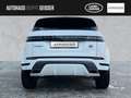 Land Rover Range Rover Evoque RR Evoque D200 R-DYNAMIC SE AWD Automatik ACC Weiß - thumbnail 8