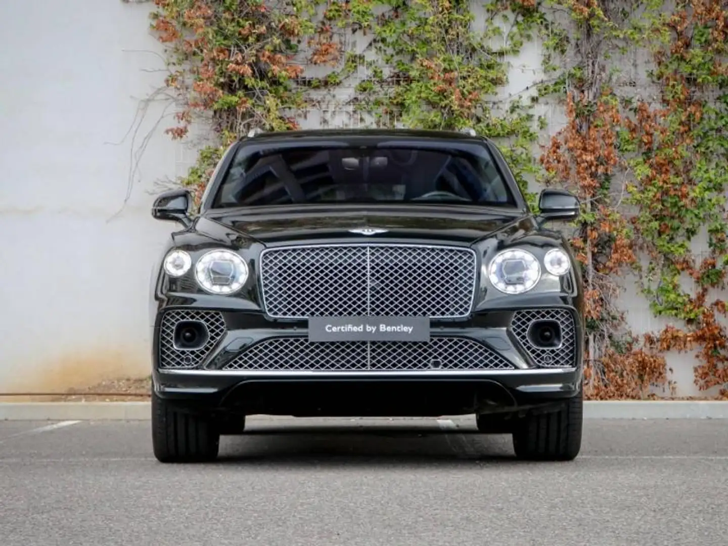 Bentley Bentayga First Edition V8 4.0 550ch Grün - 2