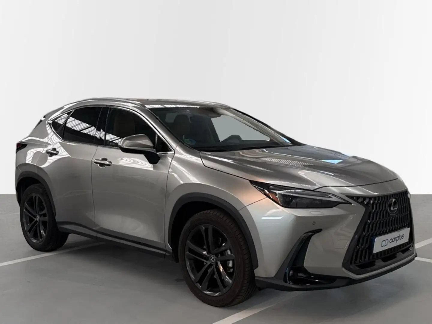 Lexus NX 350h Overtrail 4WD - 2