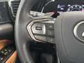Lexus NX 350h Overtrail 4WD - thumbnail 18