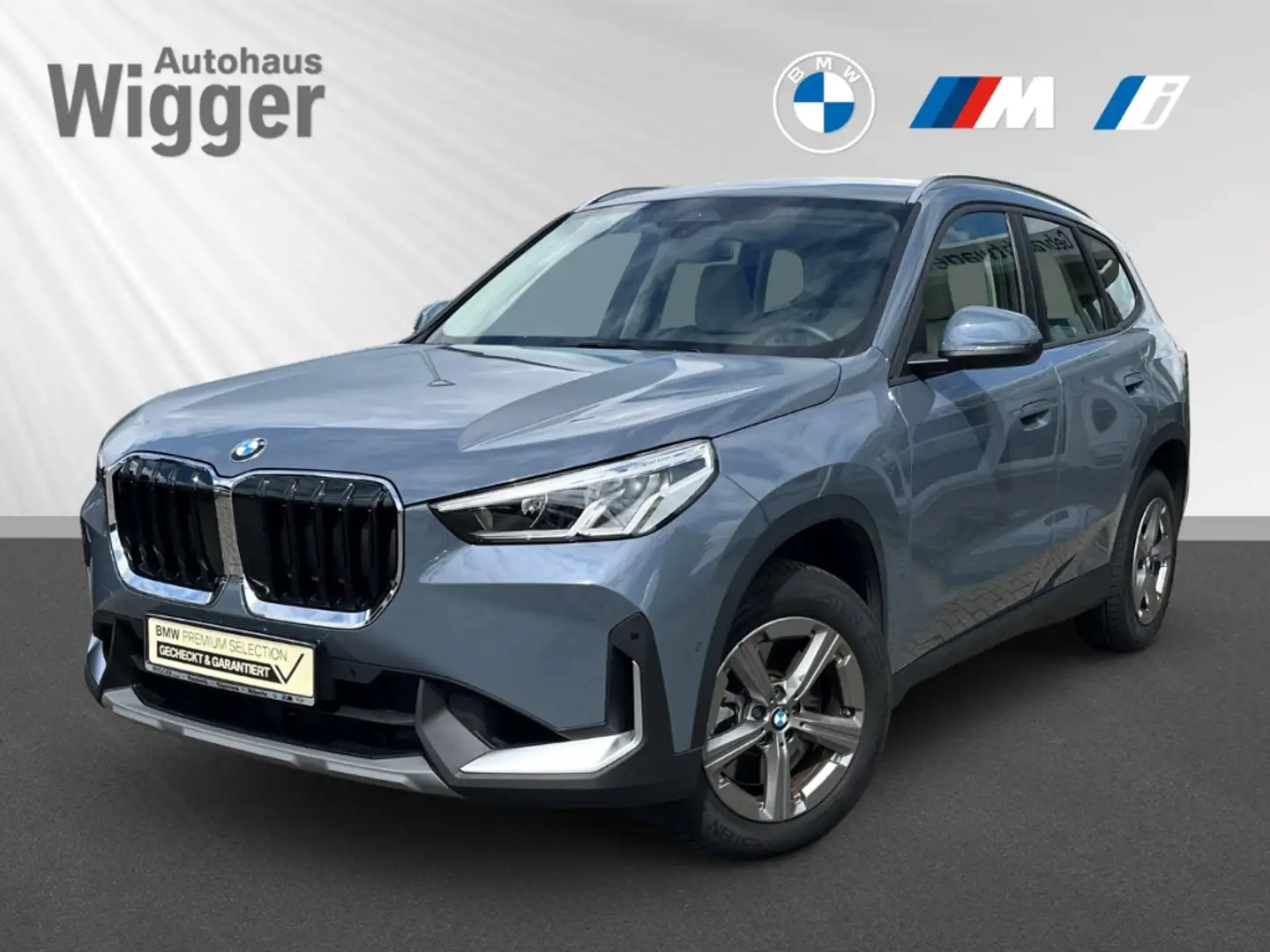 BMW X1 23i xDrive/AHK/Navi/Leder/Soundsystem/LED Gris - 1
