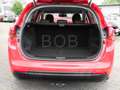 Kia Ceed SW / cee'd SW 1.6 Dream Team  SHZ NAVI AHK Rouge - thumbnail 13