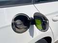 Skoda Fabia Wagon 1.0 tsi Design Edition 95cv Bianco - thumbnail 14