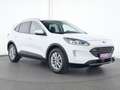 Ford Kuga Titanium ACC|AHK|Navi|Kamera|SHZ|PDC Weiß - thumbnail 4