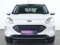 Ford Kuga Titanium ACC|AHK|Navi|Kamera|SHZ|PDC Weiß - thumbnail 3