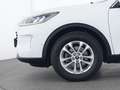 Ford Kuga Titanium ACC|AHK|Navi|Kamera|SHZ|PDC Weiß - thumbnail 11