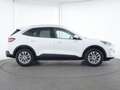 Ford Kuga Titanium ACC|AHK|Navi|Kamera|SHZ|PDC Weiß - thumbnail 5