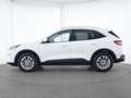 Ford Kuga Titanium ACC|AHK|Navi|Kamera|SHZ|PDC Weiß - thumbnail 9