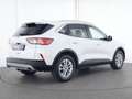 Ford Kuga Titanium ACC|AHK|Navi|Kamera|SHZ|PDC Weiß - thumbnail 6