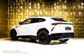 Lamborghini Urus +CUSTOMIZED+CARBON+REAR TV Blanc - thumbnail 6