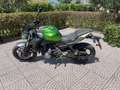 Beta RR 300 - thumbnail 2
