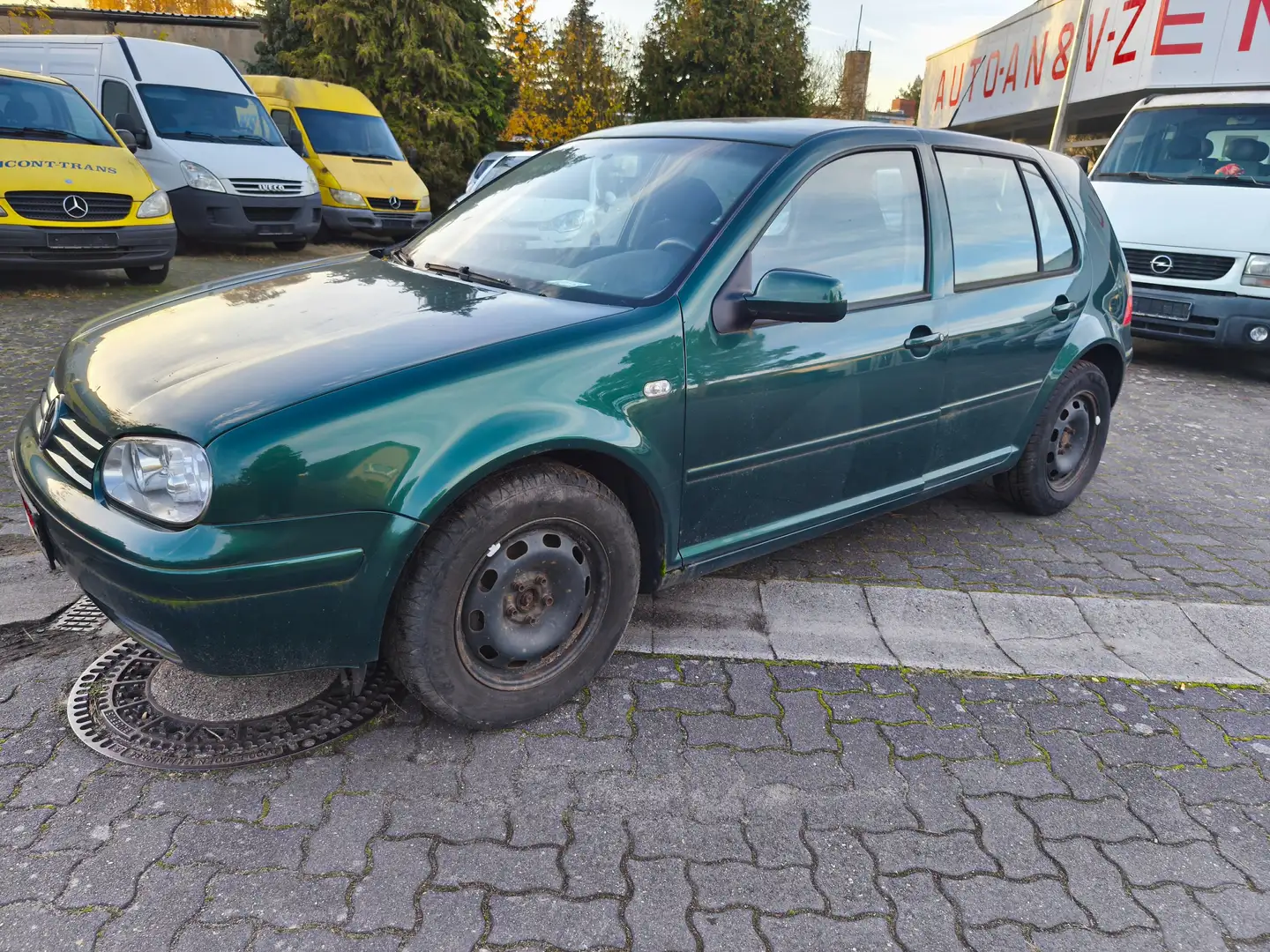 Volkswagen Golf Golf 1.6 FSI Grün - 2