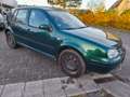 Volkswagen Golf Golf 1.6 FSI Grün - thumbnail 6