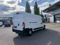 Citroen Jumper 35+ L3H2 BlueHDi 165 S&S Weiß - thumbnail 5