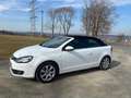Volkswagen Golf Cabriolet Golf Cabrio 2.0 TDI BlueMotion Technology Cup Weiß - thumbnail 6