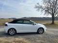 Volkswagen Golf Cabriolet Golf Cabrio 2.0 TDI BlueMotion Technology Cup Weiß - thumbnail 5