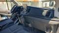 Ford Transit FT 350 L3 Kombi Trend 170 Trend - thumbnail 4