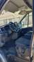 Ford Transit FT 350 L3 Kombi Trend 170 Trend - thumbnail 5