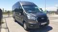 Ford Transit FT 350 L3 Kombi Trend 170 Trend - thumbnail 14