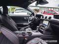Ford Mustang 5.0 Ti VCT V8 450cv GT Blanco - thumbnail 21