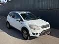 Ford Kuga 2,0 Trend TDCI DPF | PICKERL BIS 10/2026 INKL.Ü... Weiß - thumbnail 4