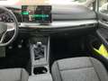 Volkswagen Golf VIII 1.5 TSI Life ACC LED APP SHZ Kamera PD Weiß - thumbnail 11