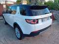 Land Rover Discovery Sport Discovery Sport I 2015 2.0 td4 HSE awd 150cv my19 Blanc - thumbnail 6