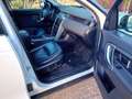 Land Rover Discovery Sport Discovery Sport I 2015 2.0 td4 HSE awd 150cv my19 Blanc - thumbnail 8