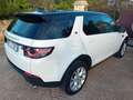 Land Rover Discovery Sport Discovery Sport I 2015 2.0 td4 HSE awd 150cv my19 Blanc - thumbnail 5