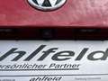 Volkswagen T6 Multivan 2.0 TDI DSG NAVI Standhzg KAM GRA Klima Navi Rot - thumbnail 23