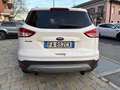 Ford Kuga 2.0 TDCI 150 CV S&S 4WD Titanium CRUISE CONTROL Wit - thumbnail 4