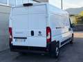 Fiat Ducato L3H2 Bianco - thumbnail 6