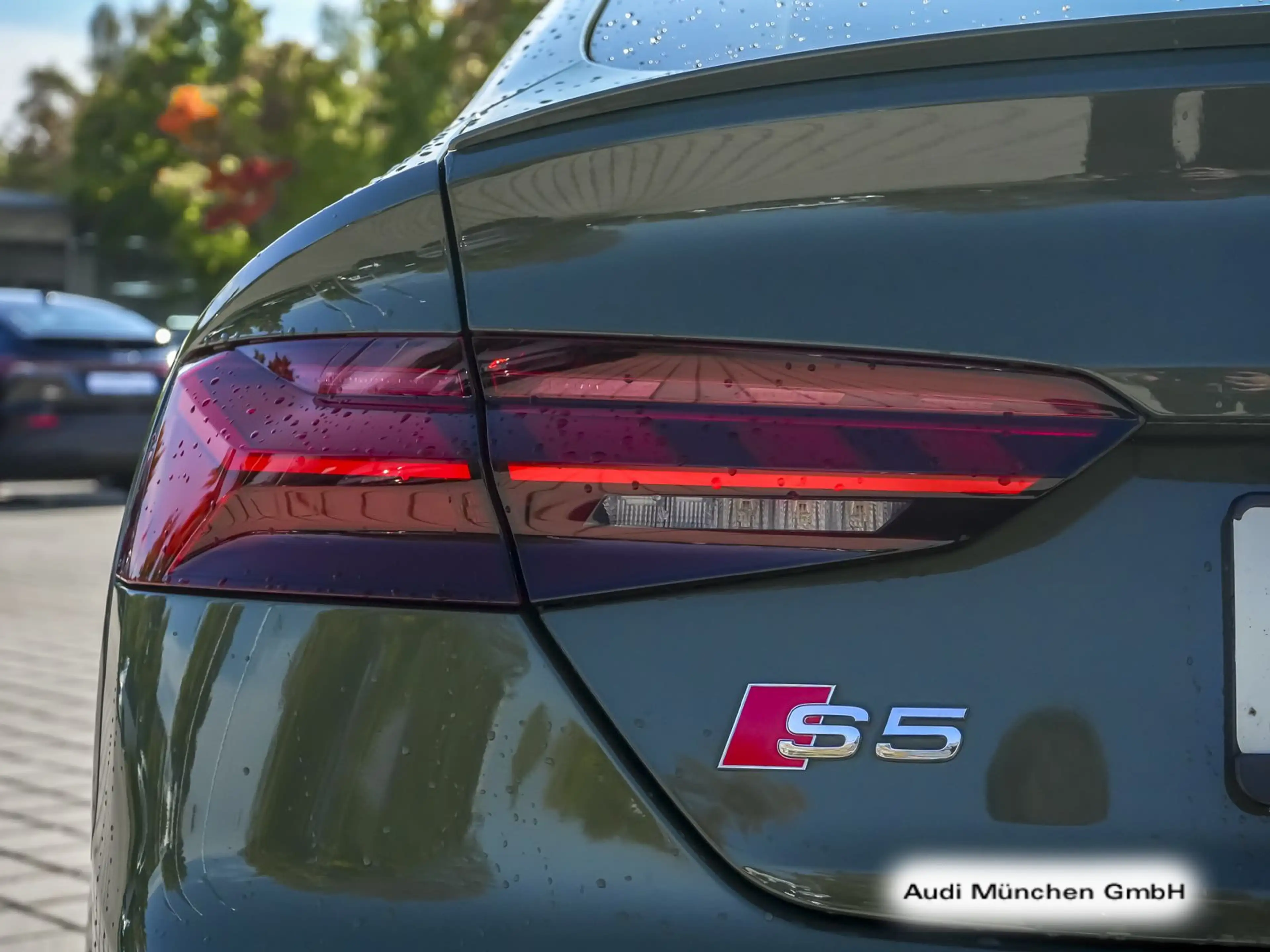 Audi S5 TDI tiptr. Matrix/Virtual+/Navi+/Ka — photo 12