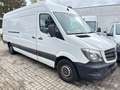 Mercedes-Benz Sprinter 316 CDI MAXI|KLIMA|TÜV 12 2026 Weiß - thumbnail 3