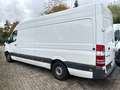 Mercedes-Benz Sprinter 316 CDI MAXI|KLIMA|TÜV 12 2026 Weiß - thumbnail 7