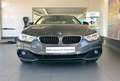 BMW 428 i Coupe Sport Line LEDer+KAM+STANDH+HARM+AHK+DAB Grau - thumbnail 11