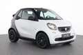 smart forTwo fortwo Cabrio EQ Passion Sitzhzg. Klimaaut. LED Weiß - thumbnail 6