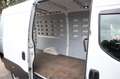 Iveco Daily 35S14V 2.3 352 H2, Automaat, Trekhaak, binnenbetim Weiß - thumbnail 19