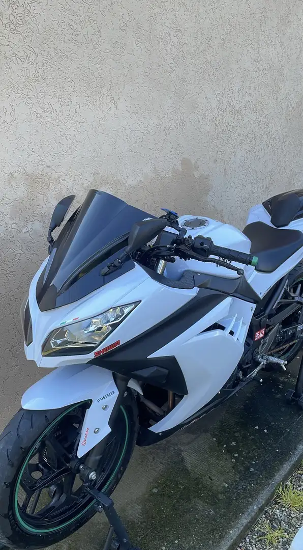 Kawasaki Ninja 300 ABS - 1